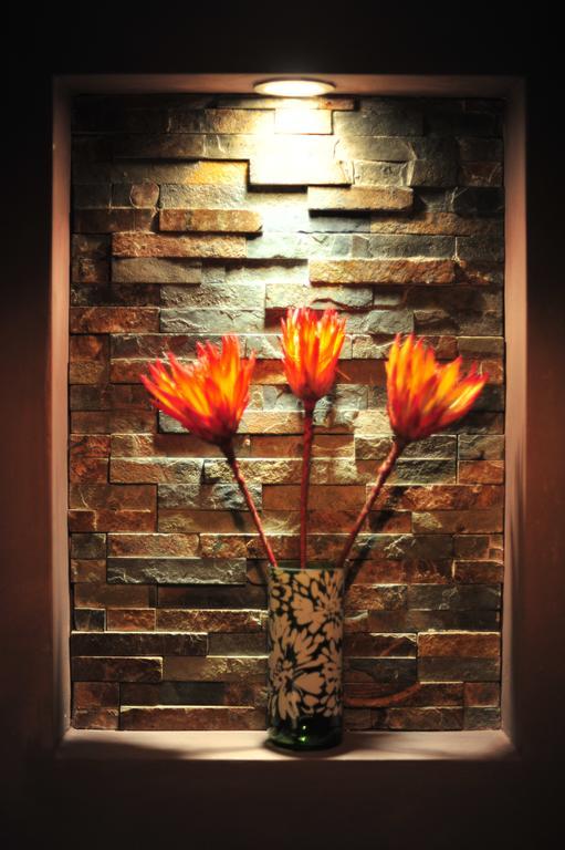 Hoogkarspel Agapanthus Bed And Breakfast מראה חיצוני תמונה