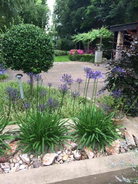 Hoogkarspel Agapanthus Bed And Breakfast מראה חיצוני תמונה