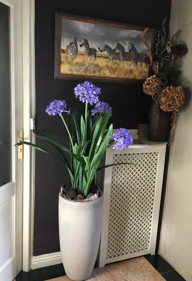 Hoogkarspel Agapanthus Bed And Breakfast מראה חיצוני תמונה